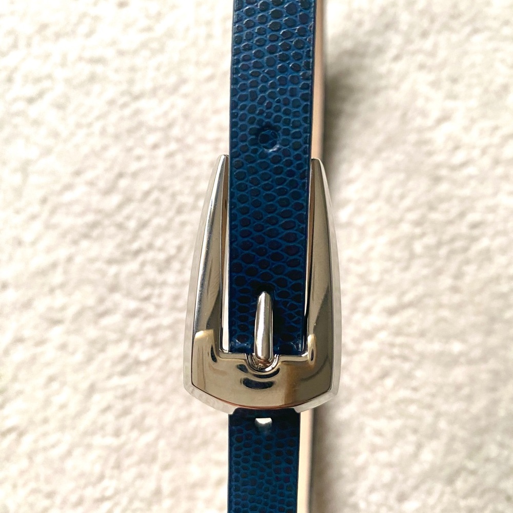 Snakeskin silver buckle adjustable belt.